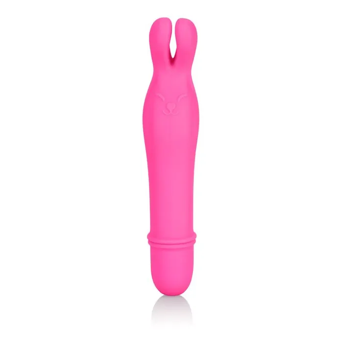 California Exotic Novelties Vibrators Shanes World Bedtime Bunny Pk