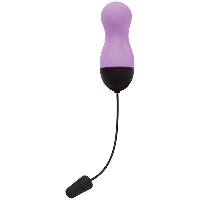BMS Remote Control Vibrating EggPurple Female Sex Toys