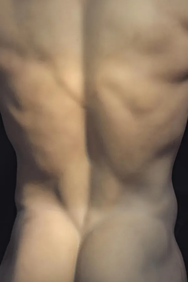 Muscular Silicone Head Male Sex Doll Torso Ronin Realing Doll Male Sex Toys