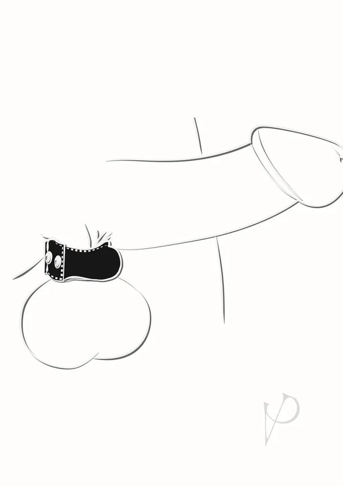 Ballgear Weighted Ball Stretcher Black Ballgear Anal
