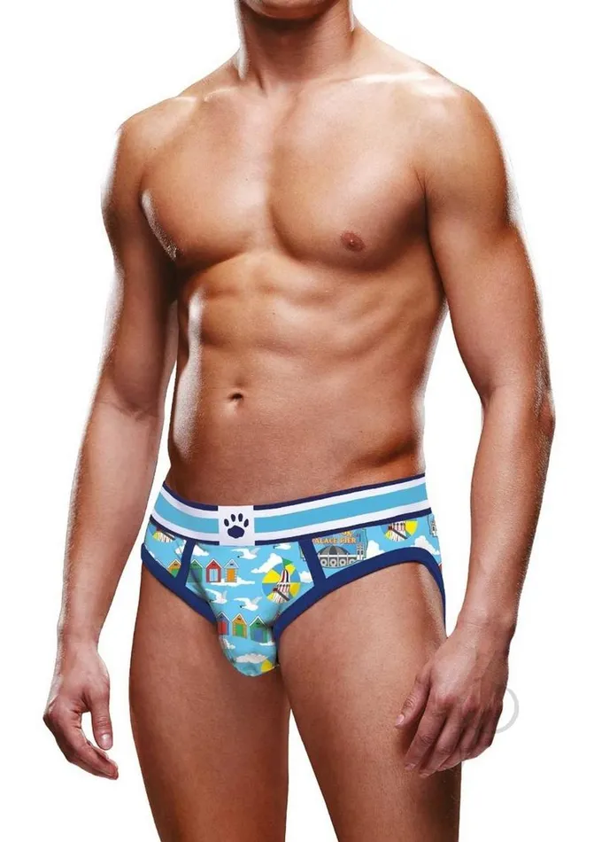 Female Sex Toys Prowler Prowler Brighton Brief Lg Blu Ss22disc