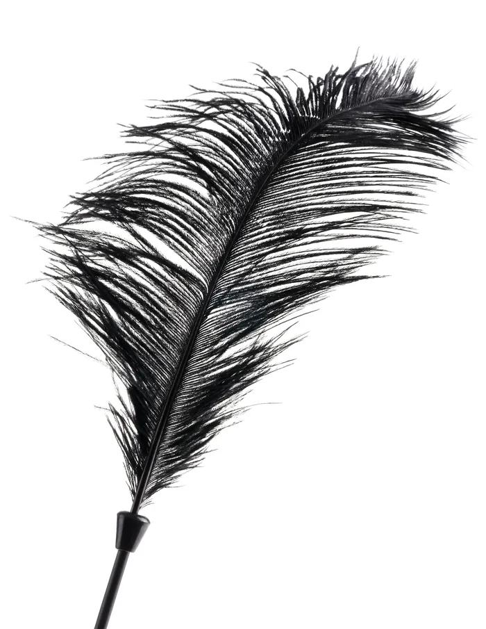 Fetish Fantasy Vibrators Love Plumes