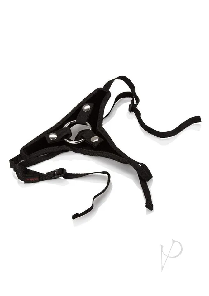 Her Royal Harness The Princess Boxed Her Royal Harness Female Sex Toys
