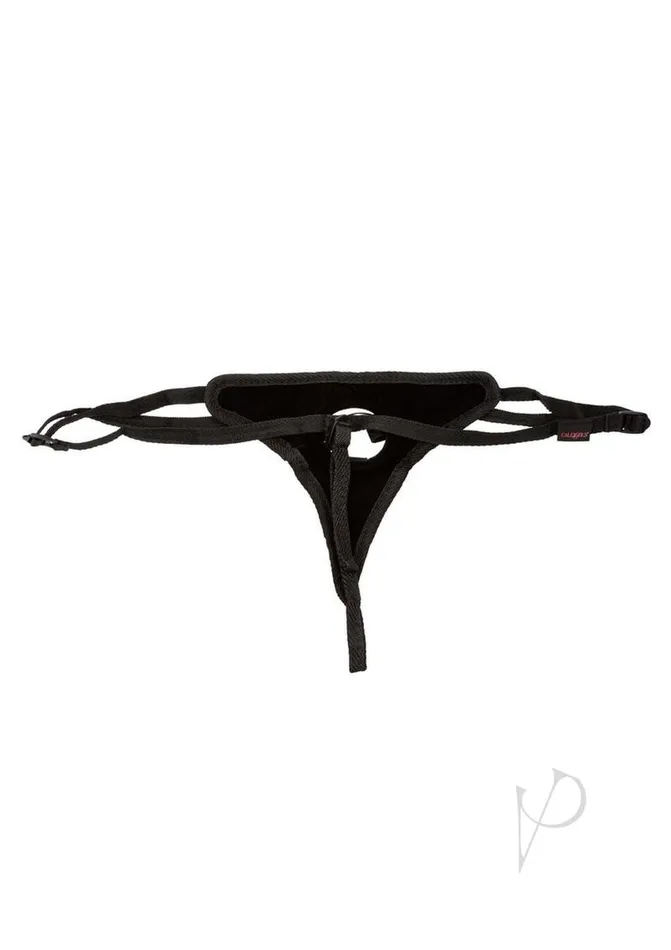 Her Royal Harness The Princess Boxed Her Royal Harness Female Sex Toys