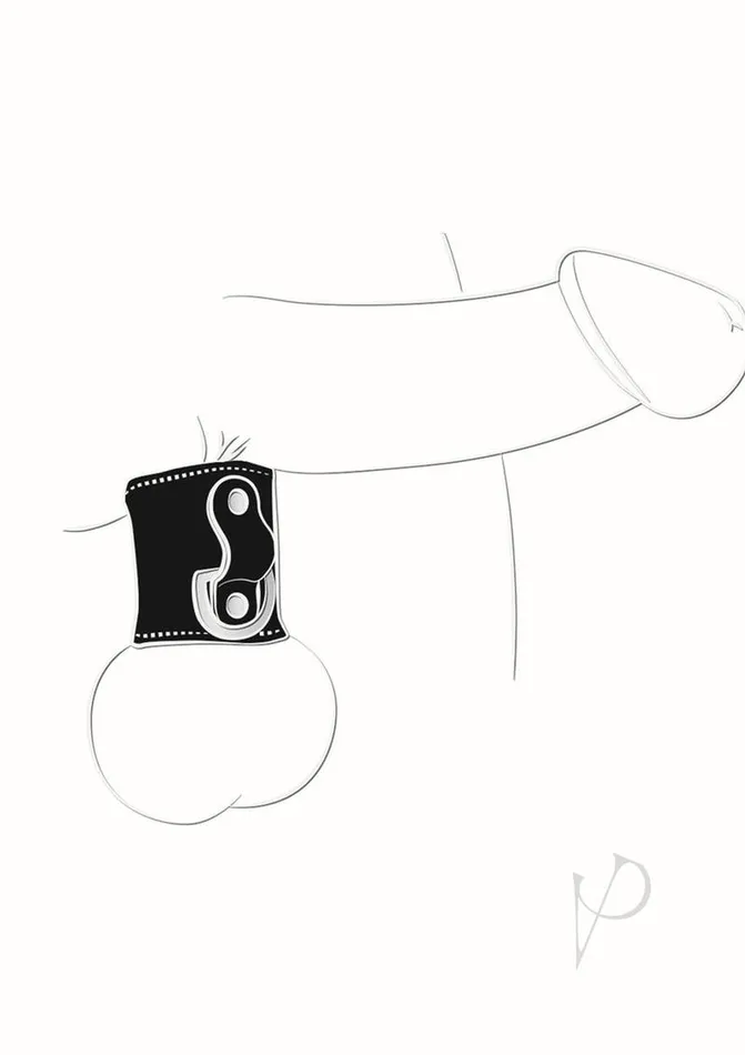 Male Sex Toys Ballgear Ballgear Mini Ball Stretch Dring Black